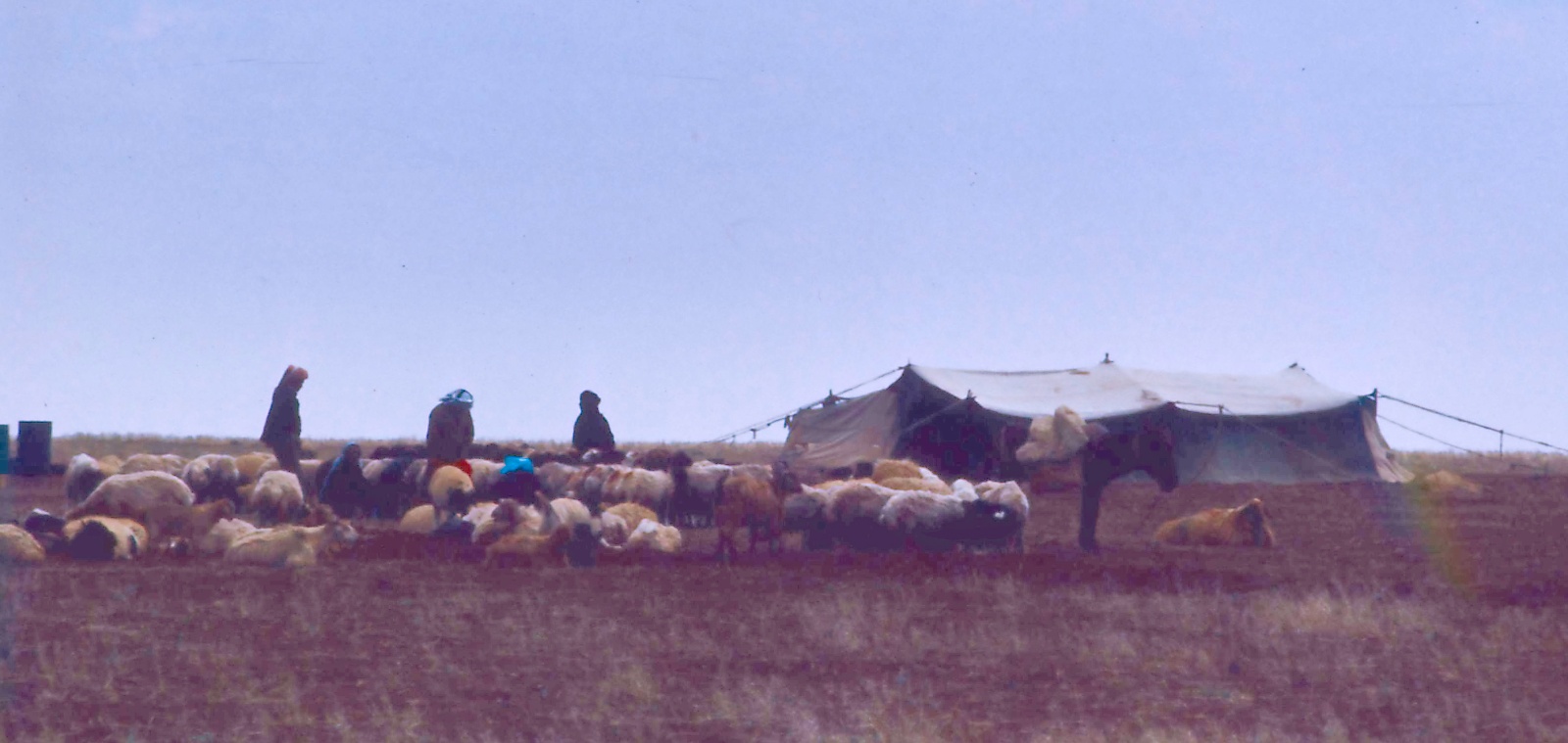 Damascus - Aleppo 1975